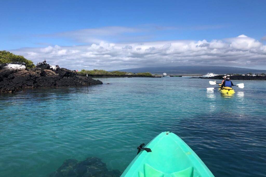 Kayaking along the coast of the Tintoreras Islets