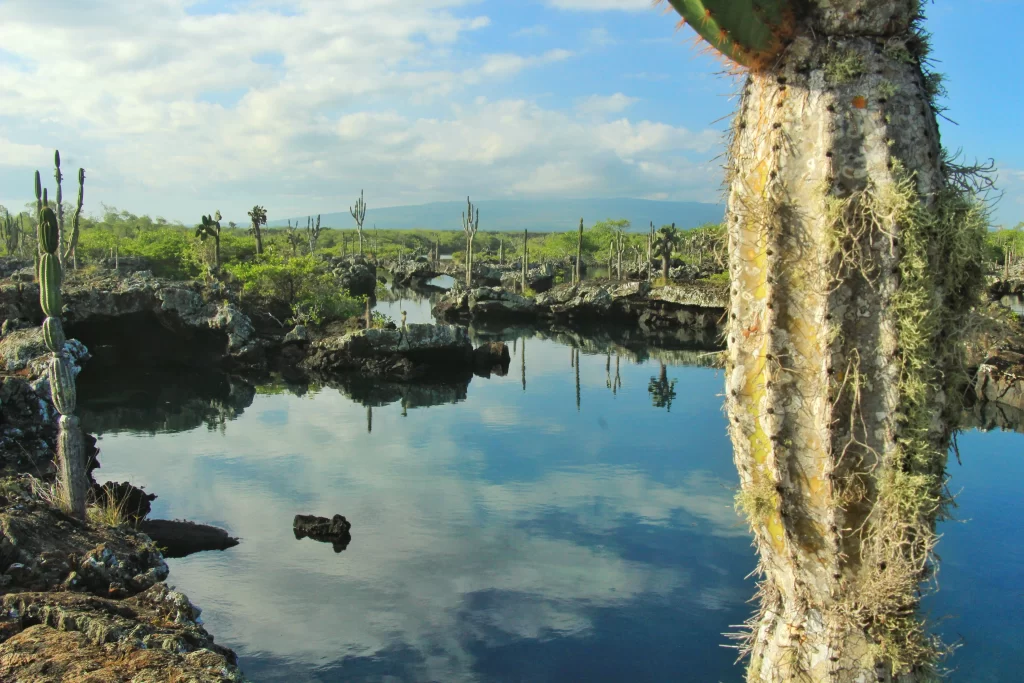 The unique Lava bridges of Los Tuneles that you can spot during the walk in Cabo Rosa