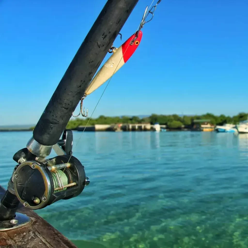 Fishing with a view on Isabela Island
