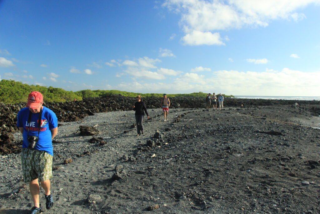 a group walking on the lava fields of Tintoreras. They are discovering marine iguanas