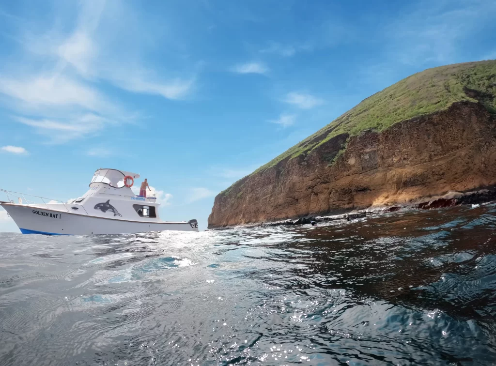 The Golden Ray in front of the biggest islet of Cuatro Hermanos. Tour Cuatro Hermanos & Tortuga Island - Isabela island - Galapagos