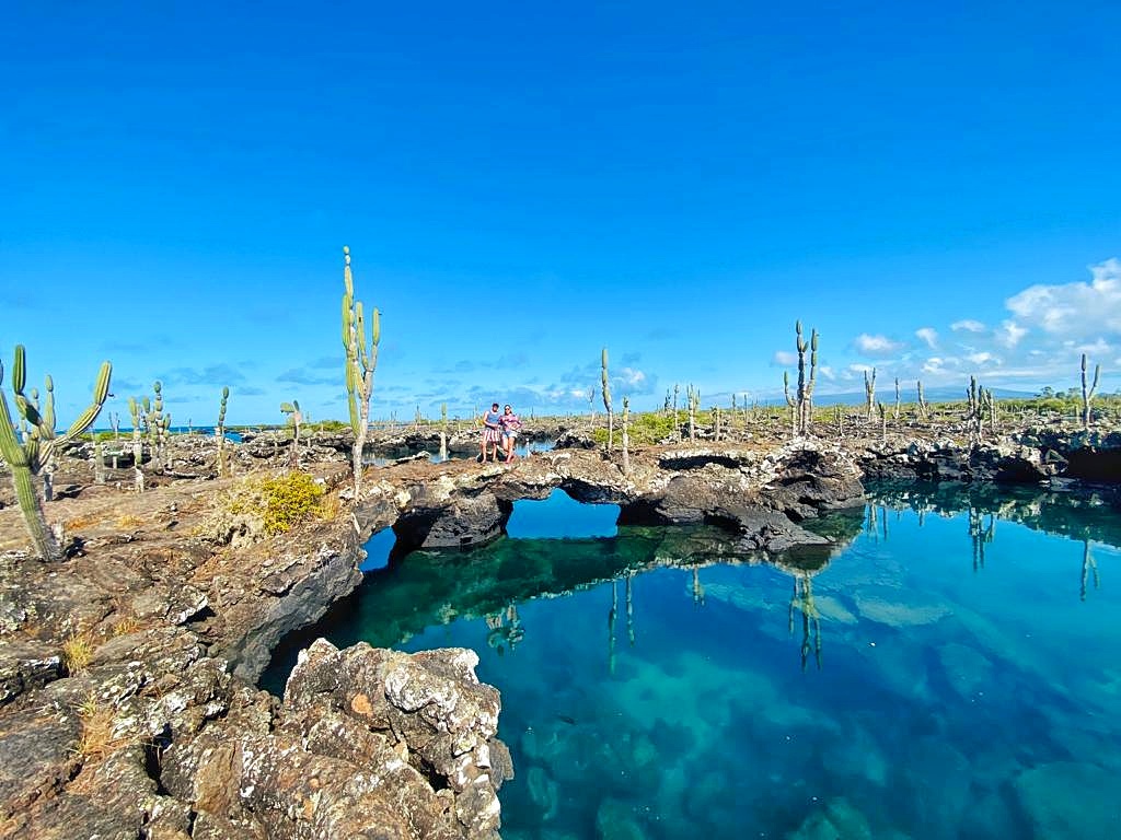Lava Bridges towering above crystal-clear water at the visitor site Los Tuneles on Isabela Island