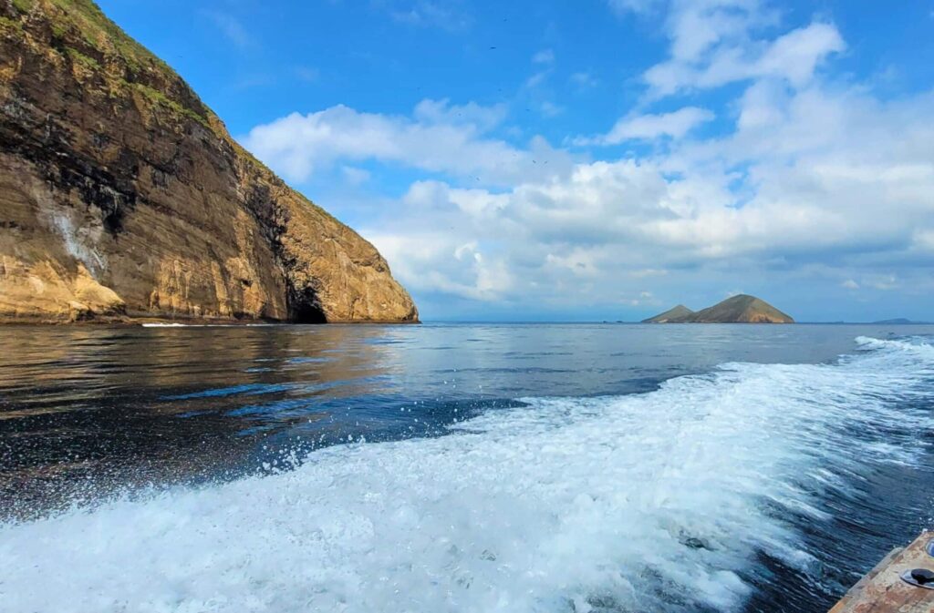 The Best Time to Visit the Galapagos Islands: A Complete Guide