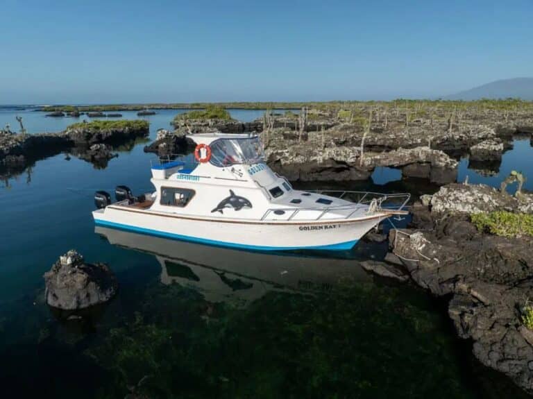 First-Class Boat Golden Ray in los Tuneles