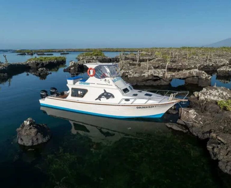 First-Class Boat Golden Ray in los Tuneles